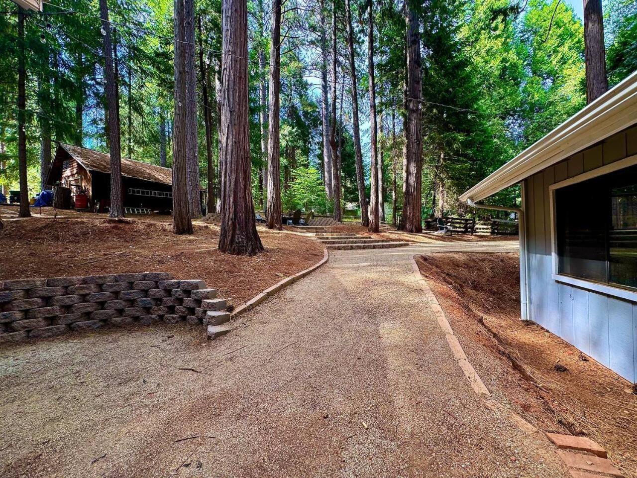 Cabin In The Trees-Game Room Pollock Pines Ngoại thất bức ảnh